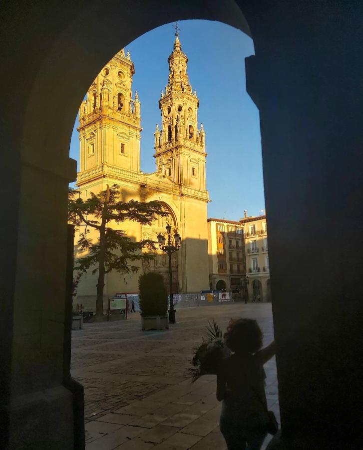 "El Rincon Del Pintor"Enorme Piso A Junto A Laurel Ascensor By Apartamentos ログローニョ エクステリア 写真