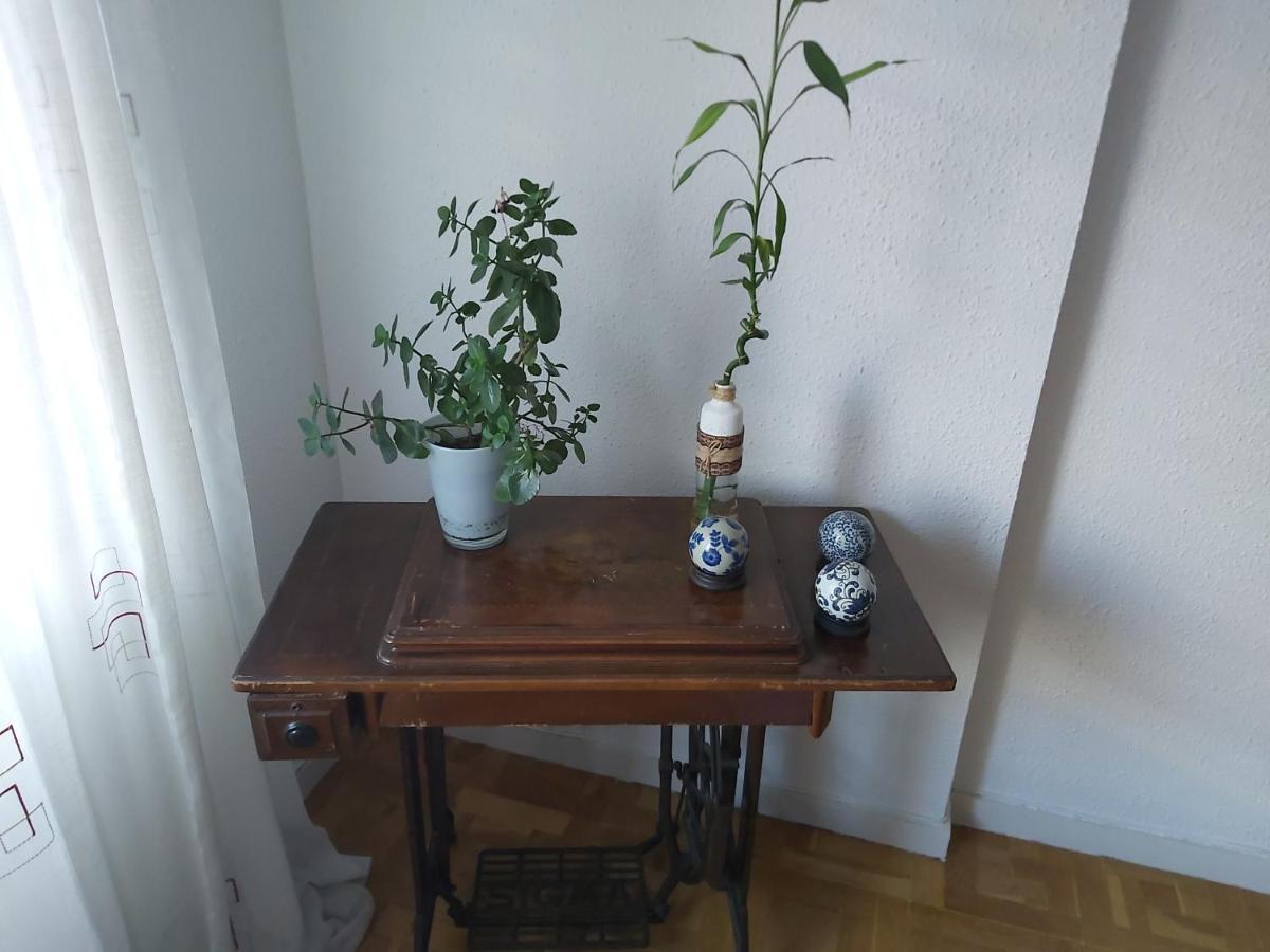 "El Rincon Del Pintor"Enorme Piso A Junto A Laurel Ascensor By Apartamentos ログローニョ エクステリア 写真